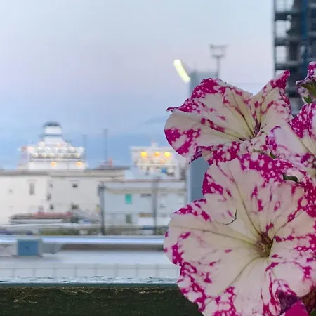 La Terrazza Sul Porto ナポリ